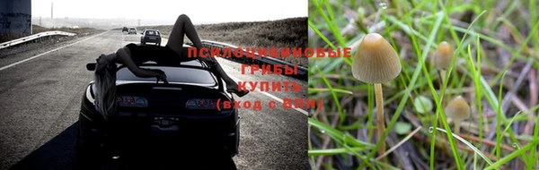прущий лед Арсеньев