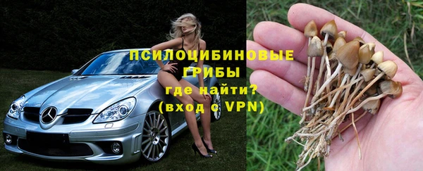 МДПВ Армянск