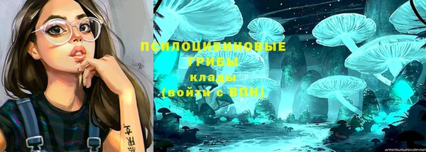 МДПВ Армянск